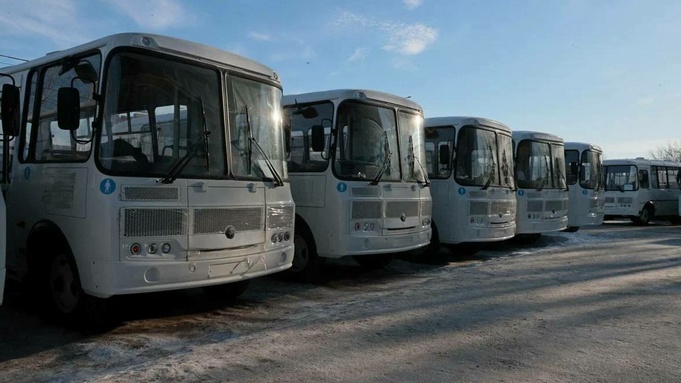 Новые автобусы / Фото: телеграм-канал Виктора Томенко