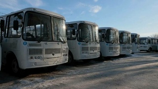 Новые автобусы / Фото: телеграм-канал Виктора Томенко