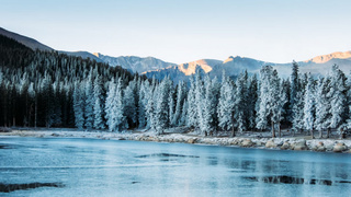 Зимнее озеро в лесу / Фото: unsplash.com