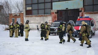 Пожар на улице Эмилии Алексеевой / Фото: МЧС по Алтайскому краю