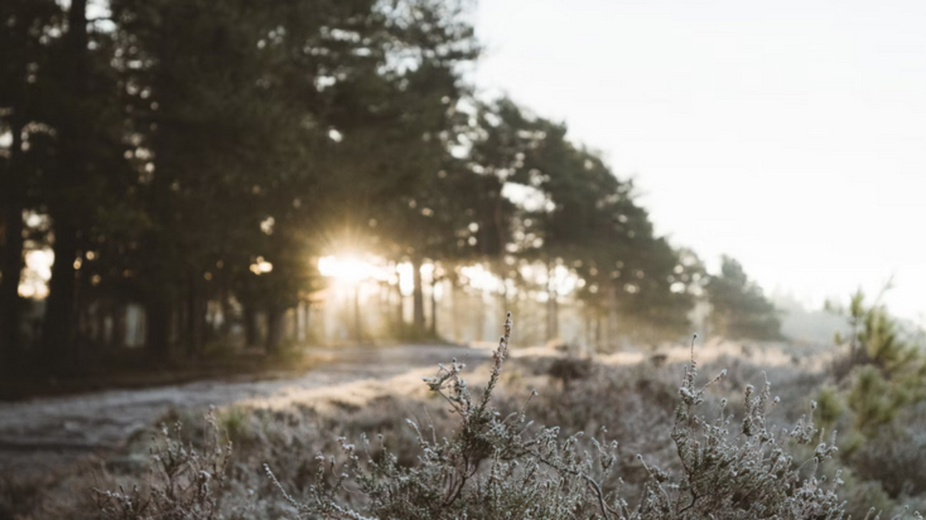 памятники города славгорода алтайского края. суши маркет славгород. карта города славгорода. центр занятости волжск. достопримечательности города славгорода алтайского края.