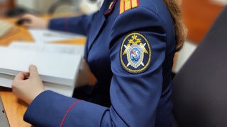 Фото: СУ СКР по Алтайскому краю  