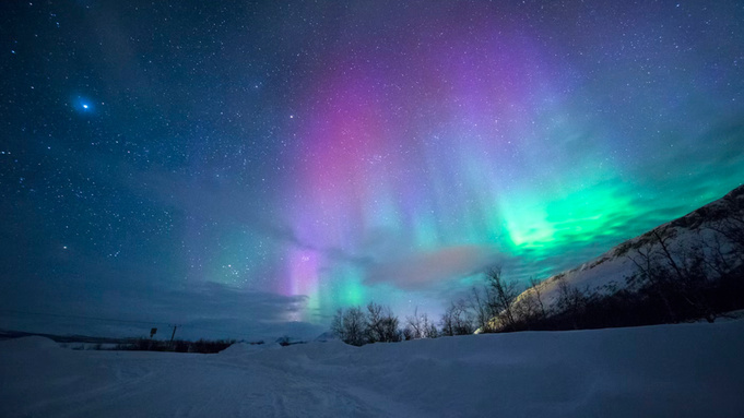 Северное сияние зимней ночью / Фото: unsplash.com