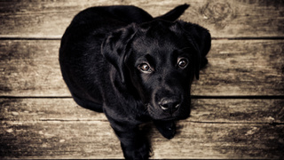 Фото: vk.com/wall-71731022_125172