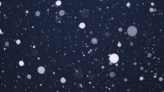 Фото: pxhere.com/ru/photo/687662 