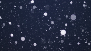 Фото: pxhere.com/ru/photo/687662 