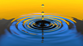 Фото: pxhere.com/ru/photo/788515  