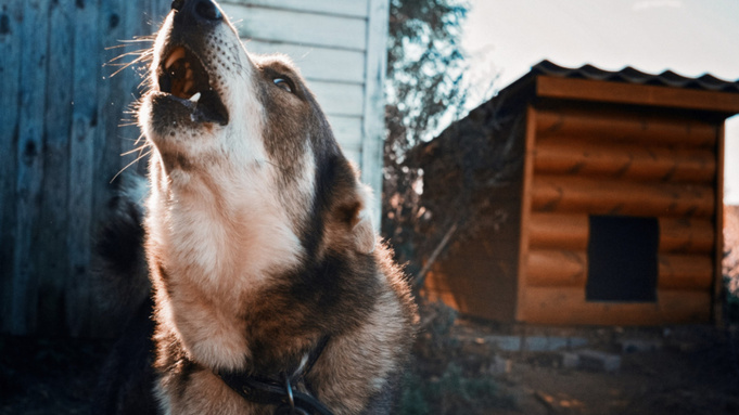 Фото: pxhere.com/ru/photo/493958 