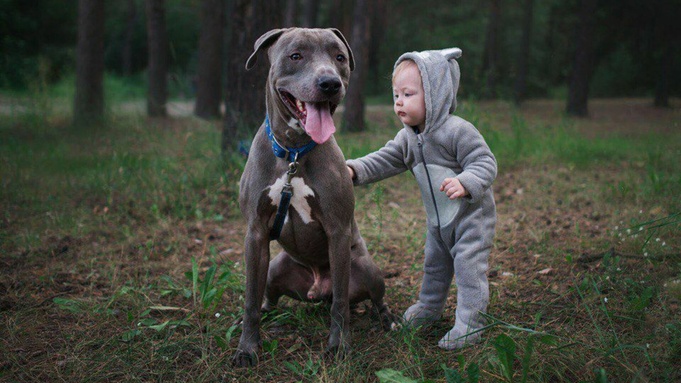 Фото предоставлено компанией "Альф" / Автор: Лиза Нагорская