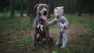 Фото предоставлено компанией "Альф" / Автор: Лиза Нагорская