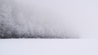 Метель в поле / Фото: unsplash.com