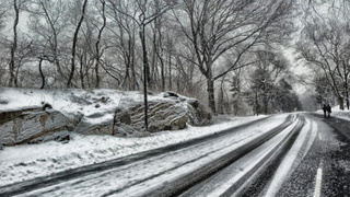 Заснеженная дорога / Фото: pxhere.com