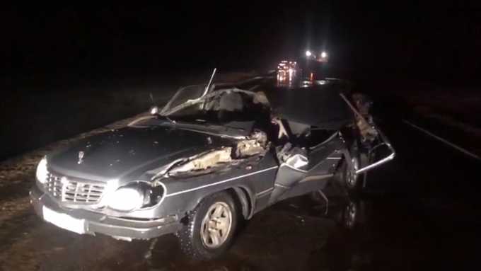 Фото: Госавтоинспекция Алтайского края