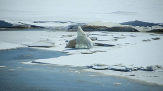 Трескающийся лед на Оби / Фото: amic.ru