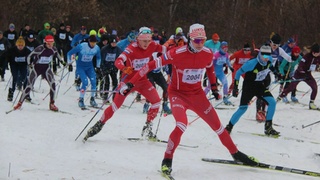 Лыжники на трассе / Фото: пресс-служба мэрии Барнаула