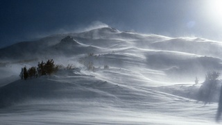 Сильный ветер / Фото: unsplash.com