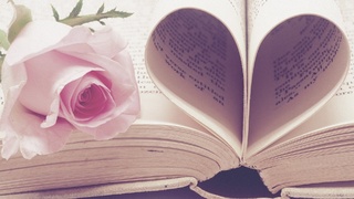 Цветок и книга / Фото: pixabay.com