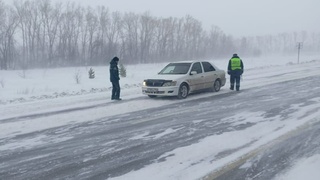 Алтайская дорога в метель / Фото: pxhere.com