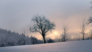 Рассвет зимой / Фото: unsplash.com