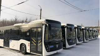 Новые автобусы, которые поступили в Барнаул / Фото: t.me/mintrans22
