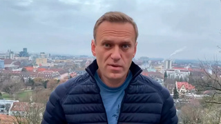 Алексей Навальный* / Фото: кадр из видео