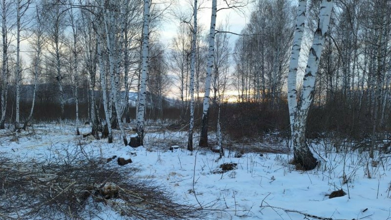 министерство природных ресурсов экологии и туризма республики алтай. знак министерства природных ресурсов и экологии алтайского края. министерства природных ресурсов алтай. министерства природных ресурсов алтай. министерства природных ресурсов алтай.