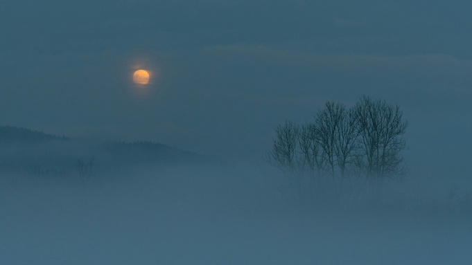 Зимний вечер / Фото: unsplash.com