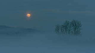 Зимний вечер / Фото: unsplash.com