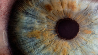 Человеческий глаз / Фото: unsplash.com
