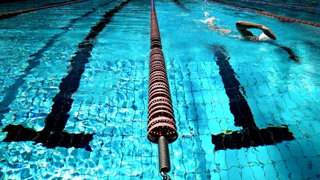 Чемпионат по плаванию / Фото: pxhere.com