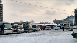 Рейсовые автобусы в Барнауле / Фото: tourister.ru