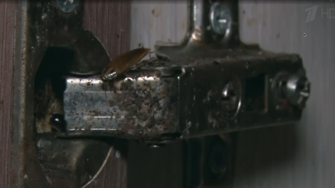 Фото: кадр из передачи "Мужское / Женское" на Первом канале