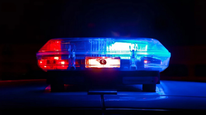 Полицейская мигалка / Источник снимка: unsplash.com