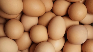 Куриные яйца / Фото: unsplash.com