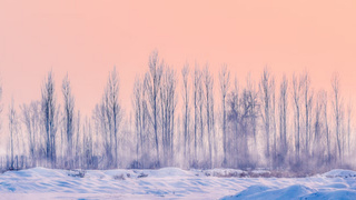 Зимнее утро / Фото: unsplash.com 