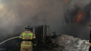 Фото: ГУ МЧС России по Алтайскому краю