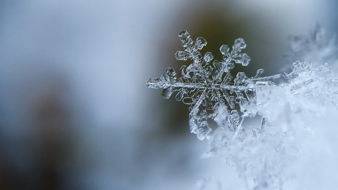 Фотография снежинки / Источник: unsplash.com