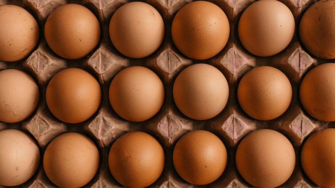 Куриные яйца / Фото: unsplash.com
