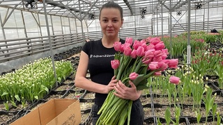 Тюльпаны / Фото: доставка "Тюльпан22премиум"