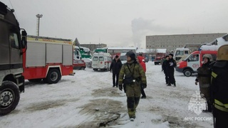 Пожар на улице Германа Титова / Фото: ГУ МЧС по Алтайскому краю