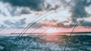 Зимний закат / Фото: unsplash.com