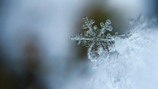 Снежинка / Источник фото: unsplash.com