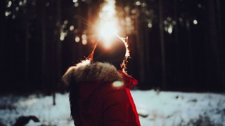 Девушка в лучах солнца / Фото: pexels.com