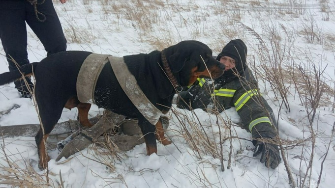 Спасение собаки / Фото: МЧС Алтайского края