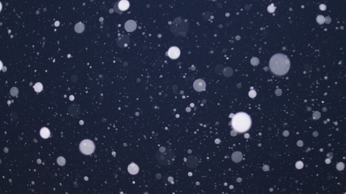 Снег в ночном небе / Фото: pxhere.com