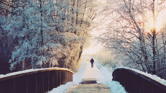 Солнечный день и снег / Фото: pxhere.com