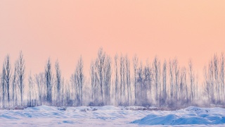 Зимний пейзаж / Фото: unsplash.com