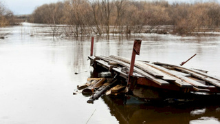 Паводок / Фото: Екатерина Смолихина / pixabay.com