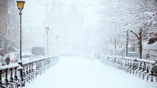 Снегопад / Фото: pxhere.com       