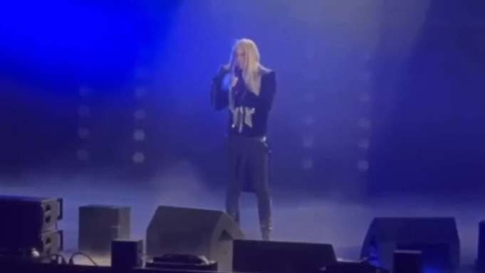 SHAMAN с длинными волосами / Фото: pxhere.com